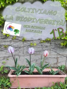 Immagini delle attività svolte dai ragazzi durante il progetto orti